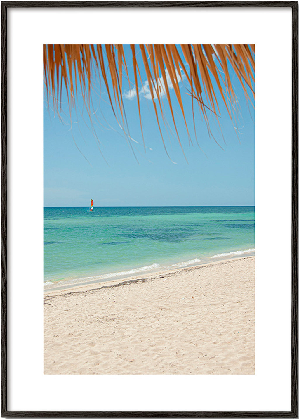 Landscape photo: palm beach seascape