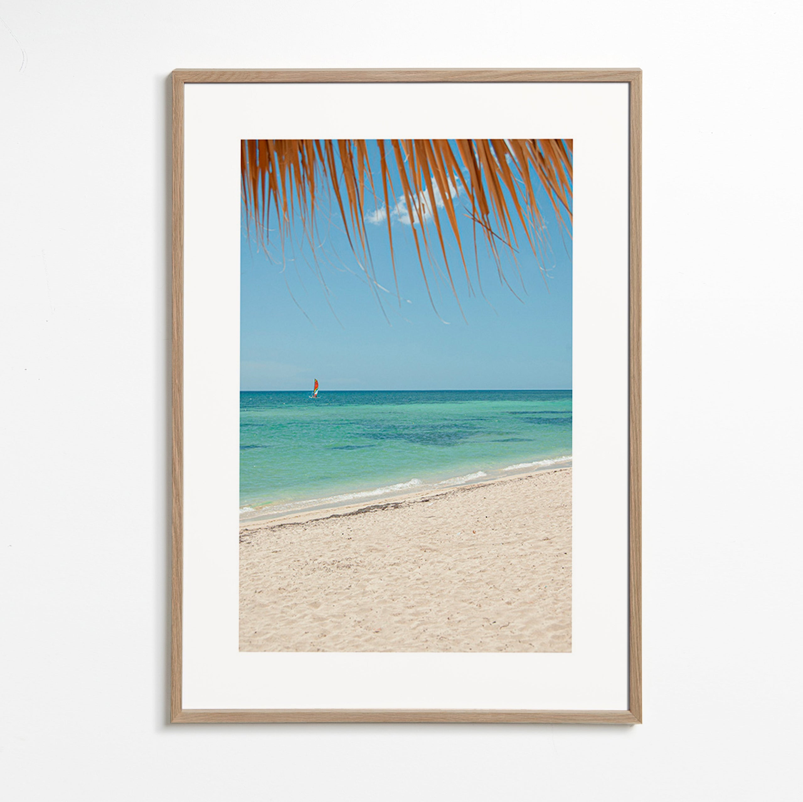Landscape photo: palm beach seascape
