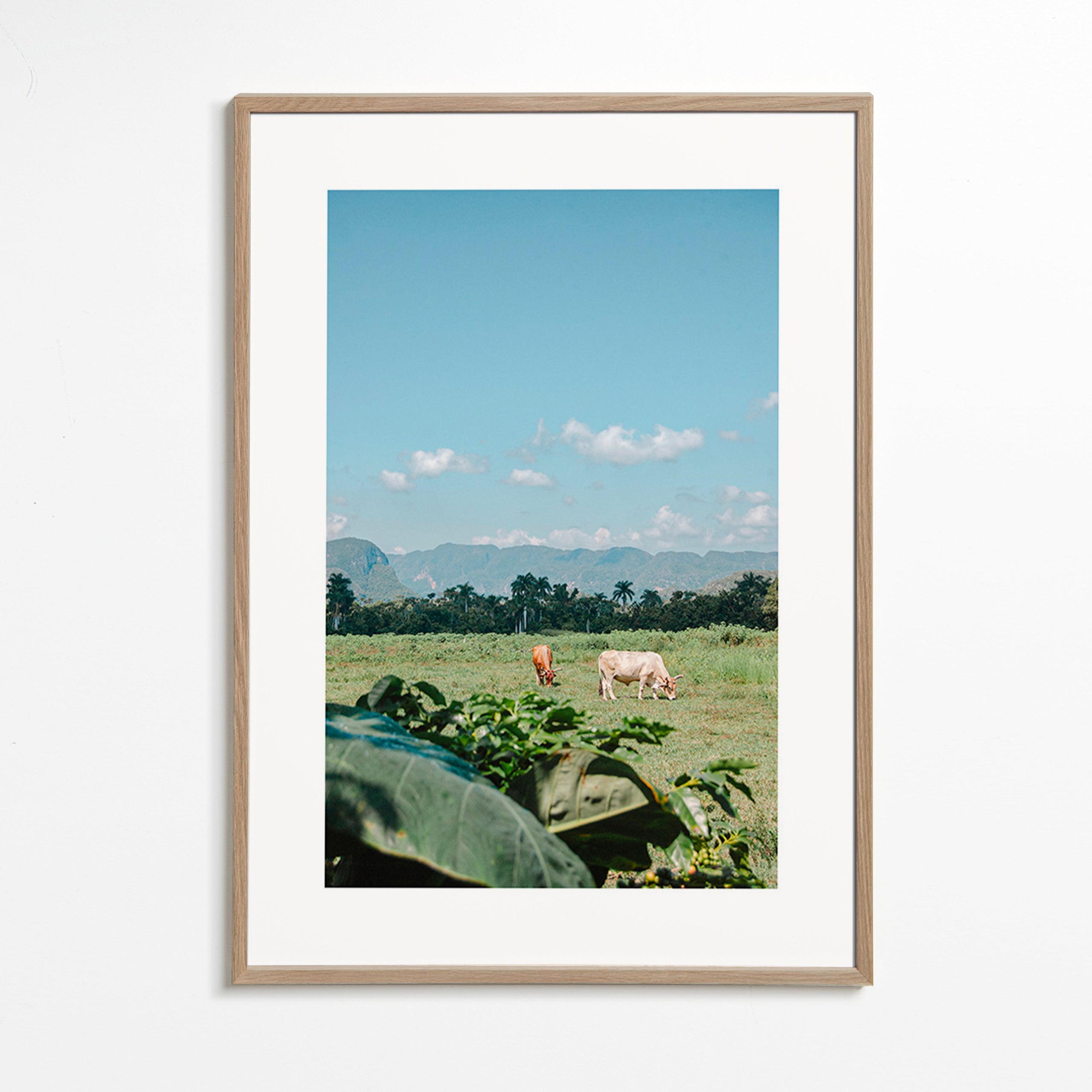 Landscape art: field with cows under wide sky