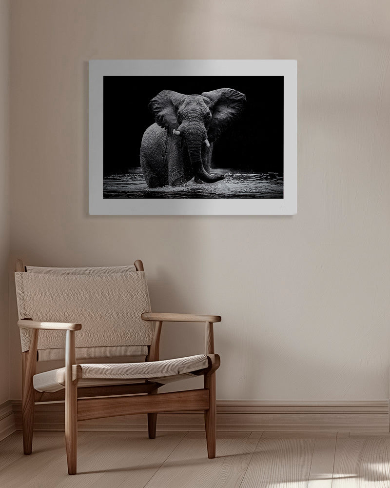 Cuadro elefante en agua, retrato en blanco y negro – Canvas