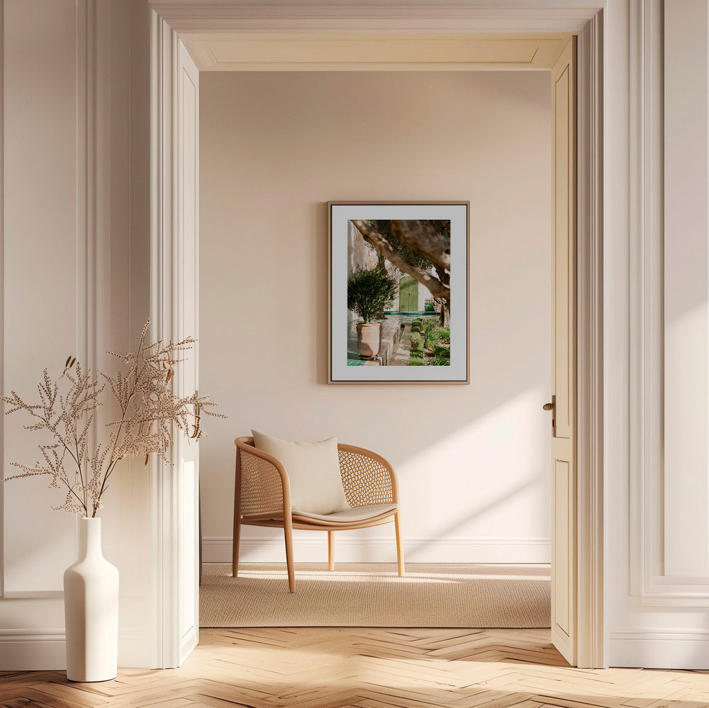 Lámina botánica de patio mediterráneo – Canvas2