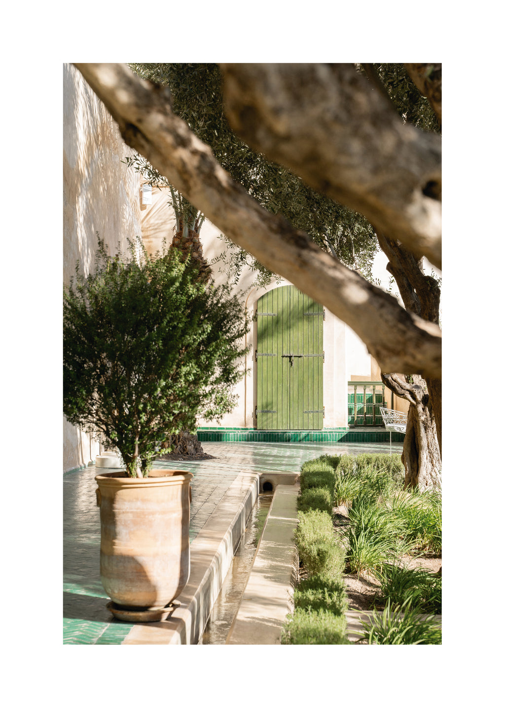 Le Jardin Secret - Unframed art print