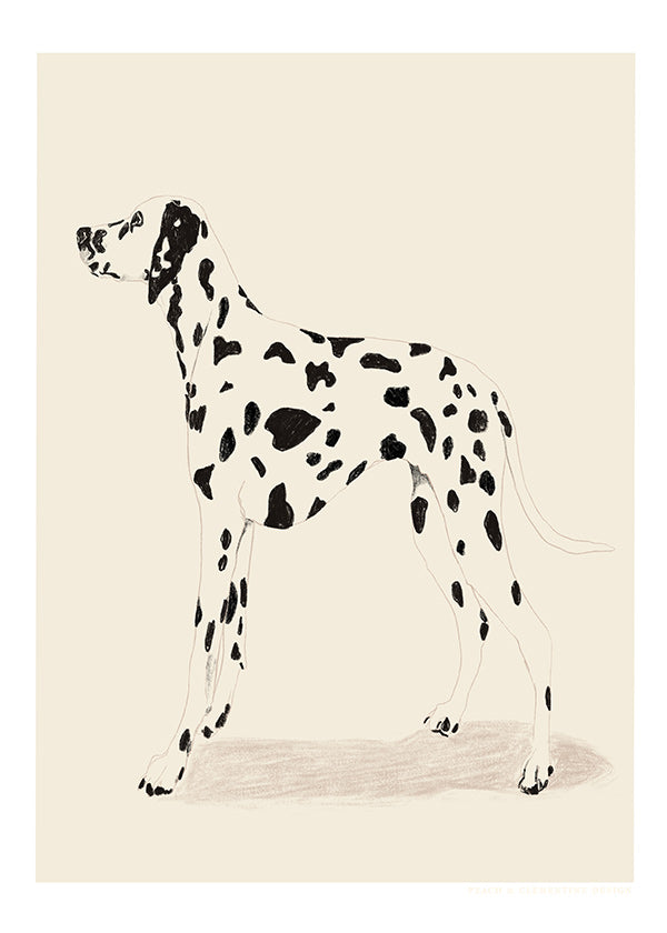 Cuadro dálmata ilustración minimal