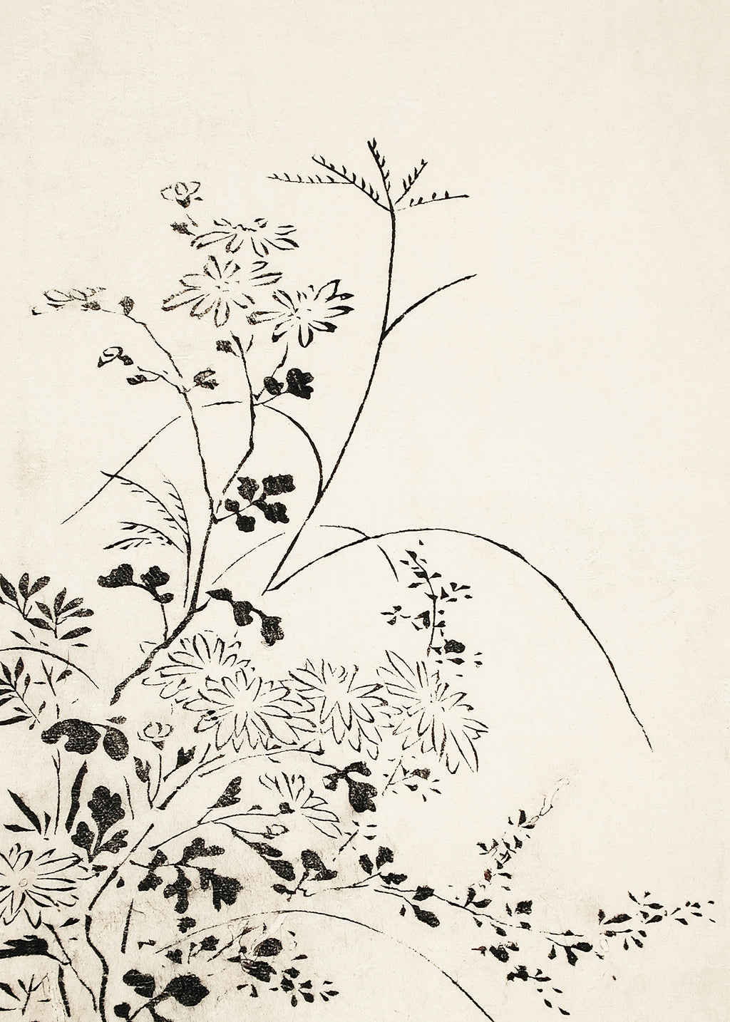 Autumn Flowers and Grasses (1762) - Unframed art print