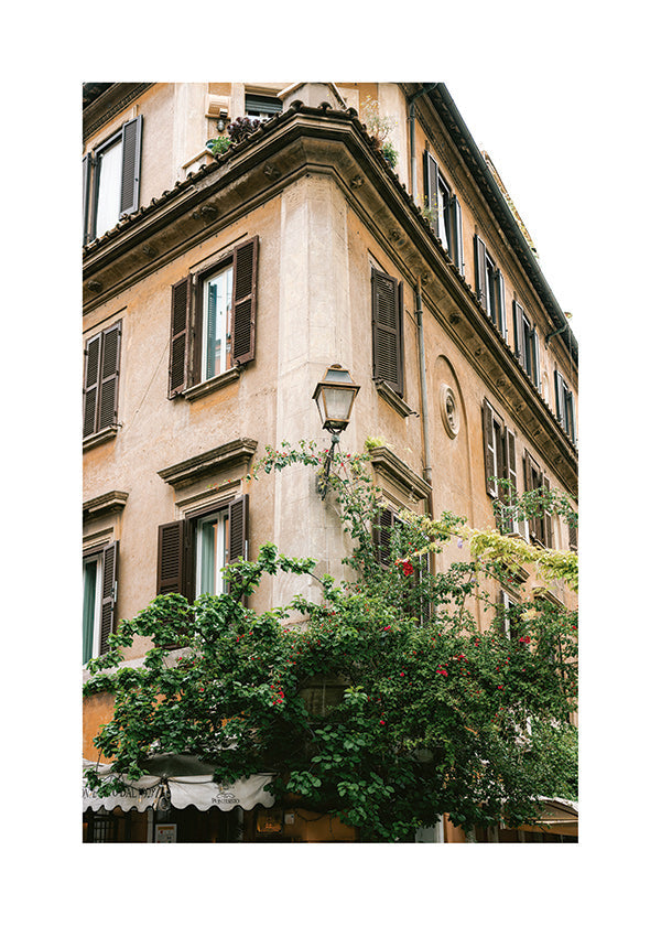 Cuadro de ciudades: esquina romana con vegetación