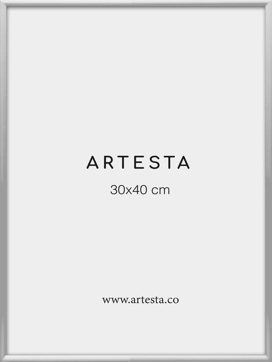 Silver frame 30x40cm