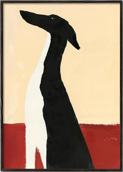 Elegant Greyhound