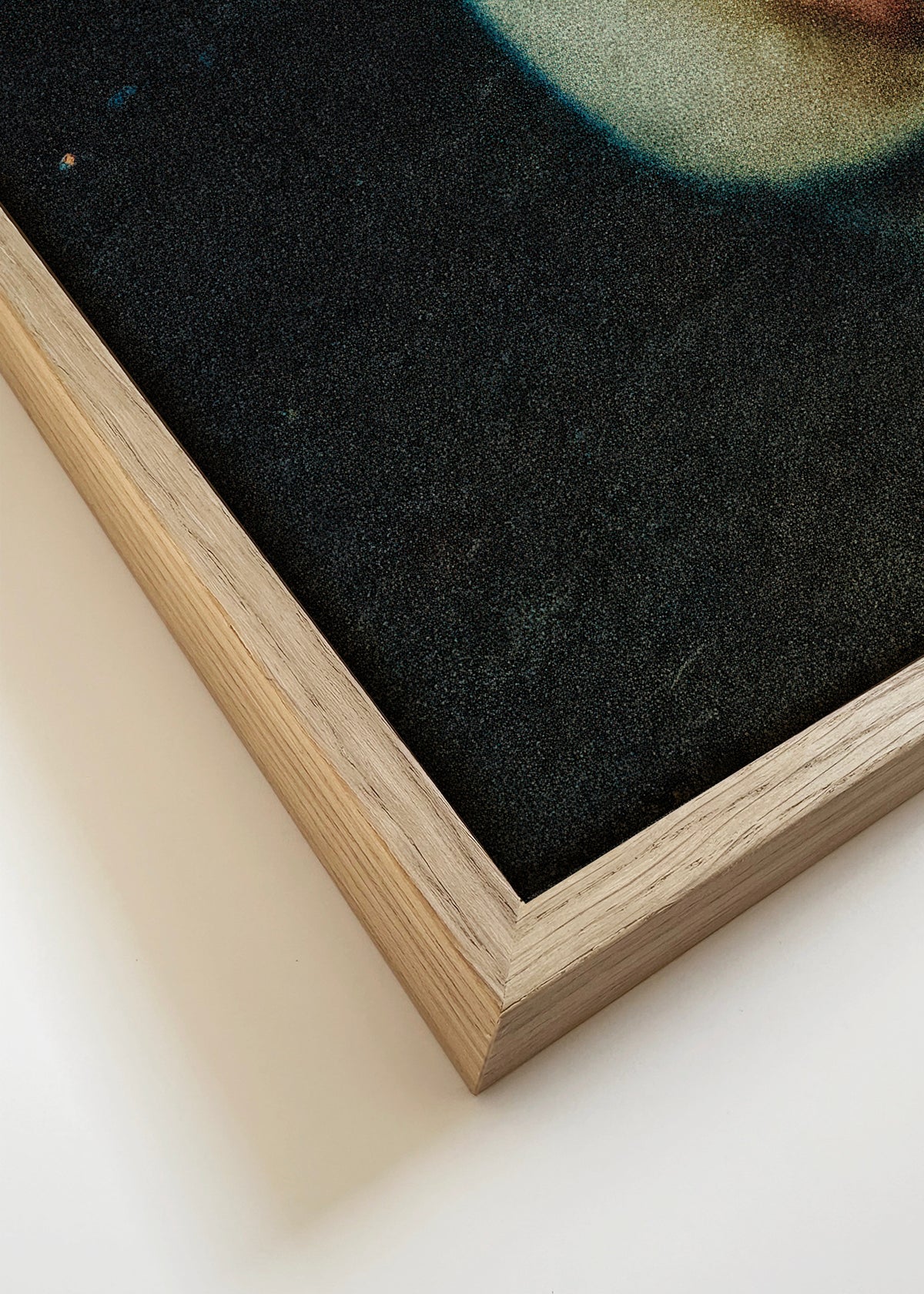 Curious Sheep - Framed canvas detail