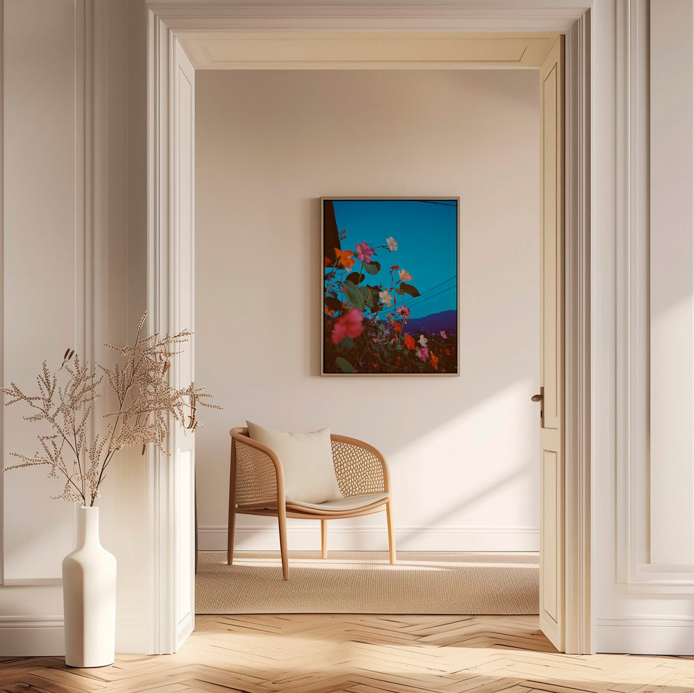Botanical print: bougainvillea at dusk