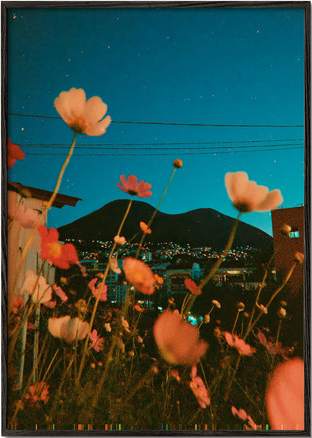 Botanical print wildflowers over city at dusk
