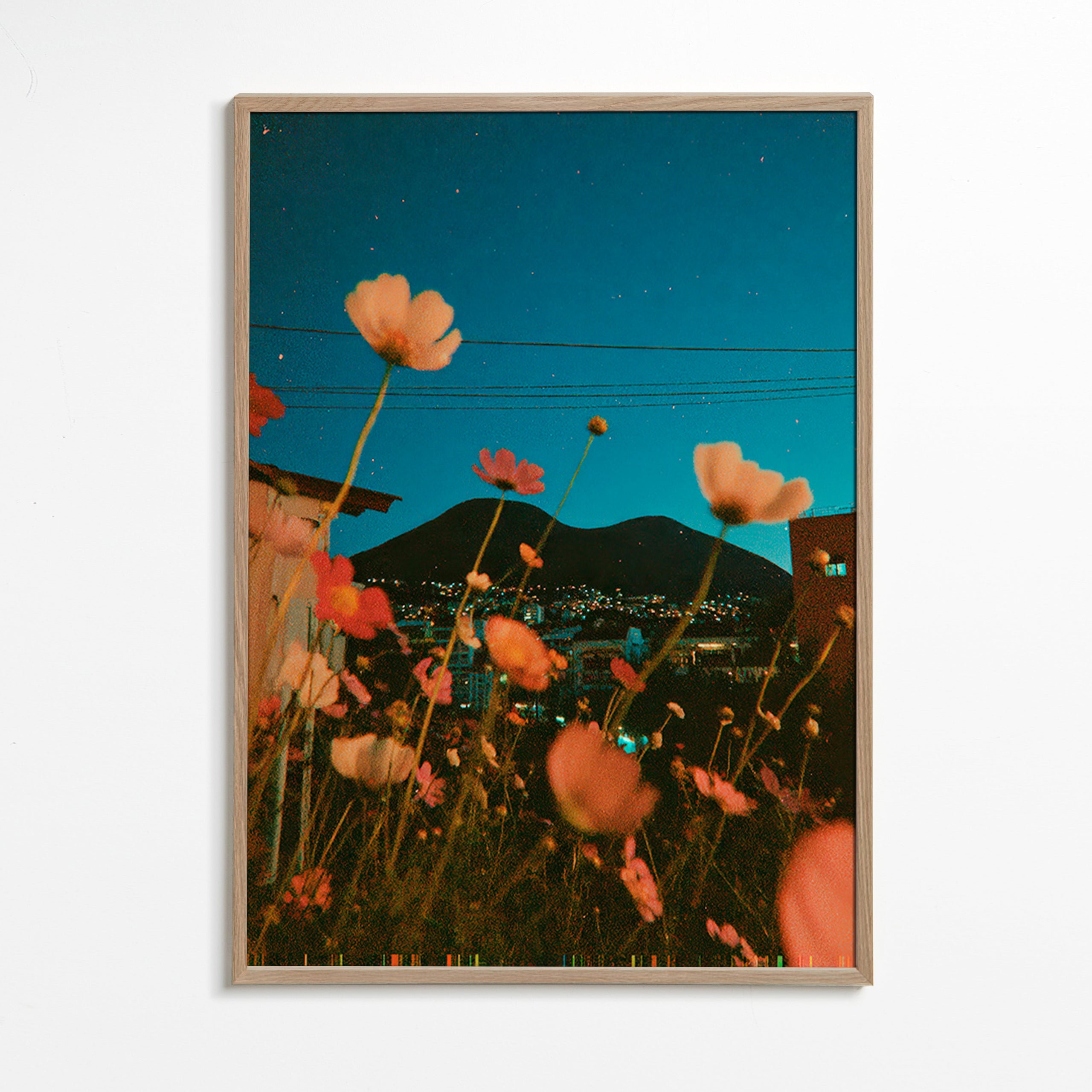 Botanical print wildflowers over city at dusk