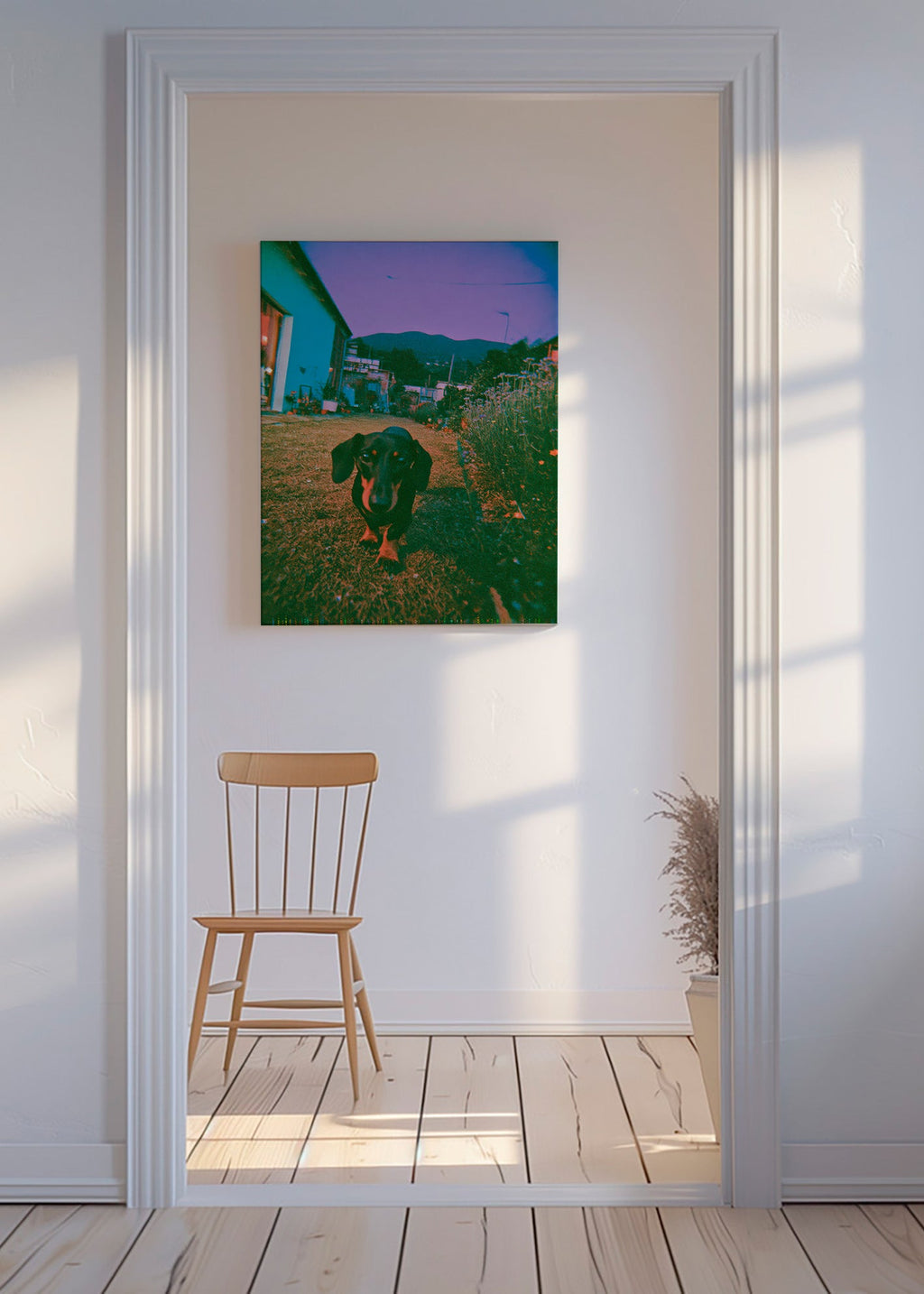 Dog at dusk photograph