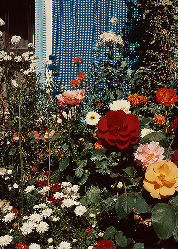 Botanical print: garden in bloom