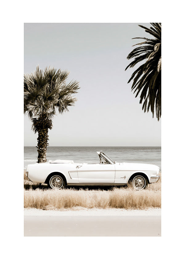 Vintage car photograph by the sea