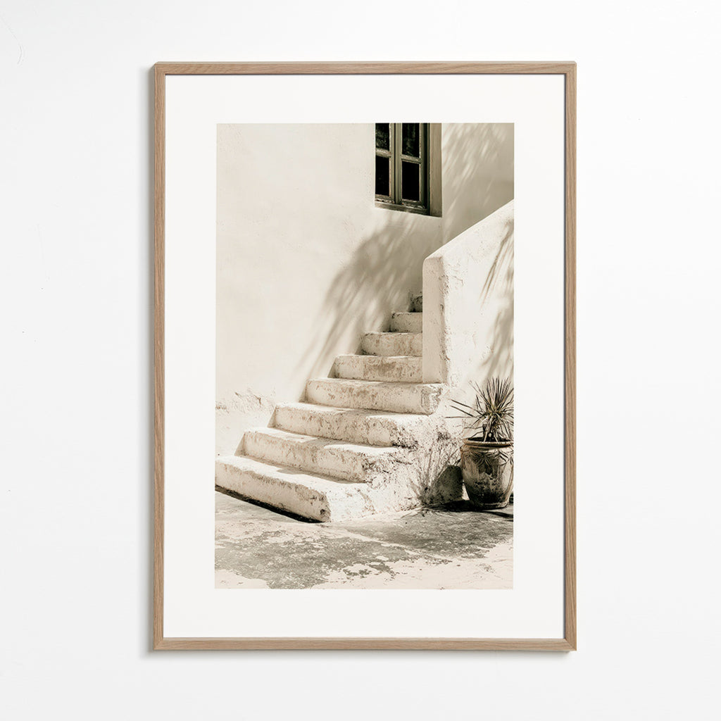 Photograph of white steps with plant