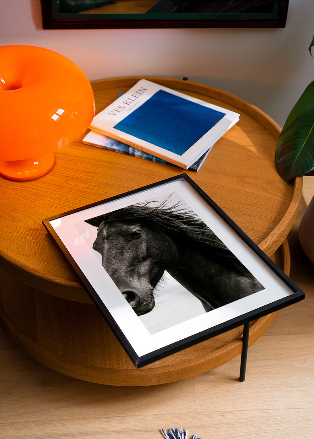 Horse portrait photograph