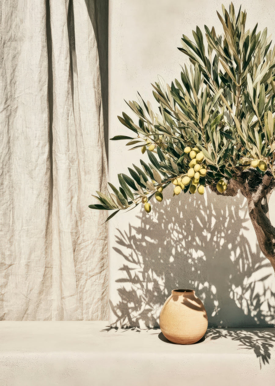 Mediterranean Light