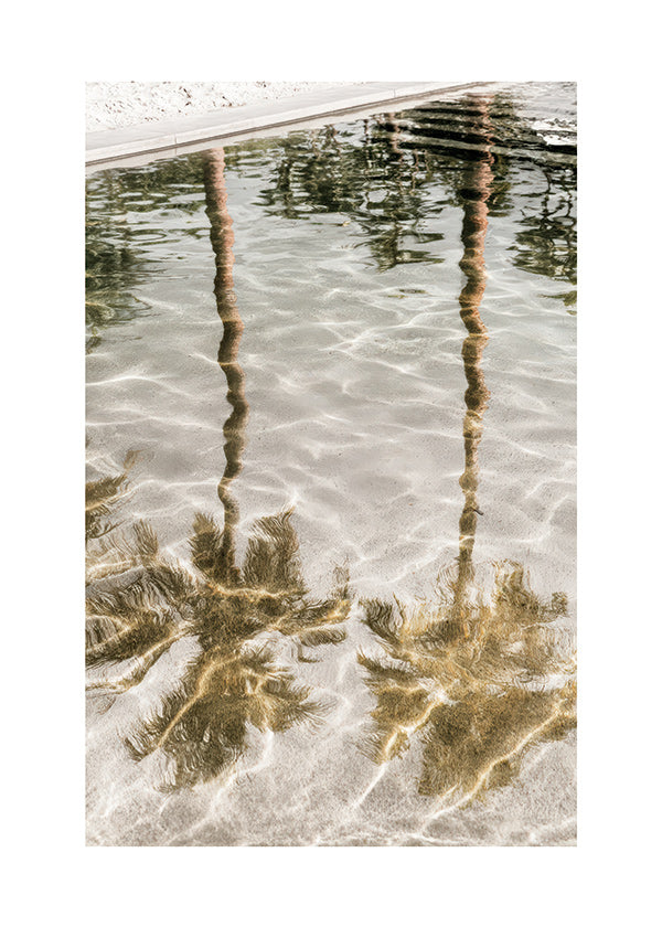 Landscape art: palm reflections in water