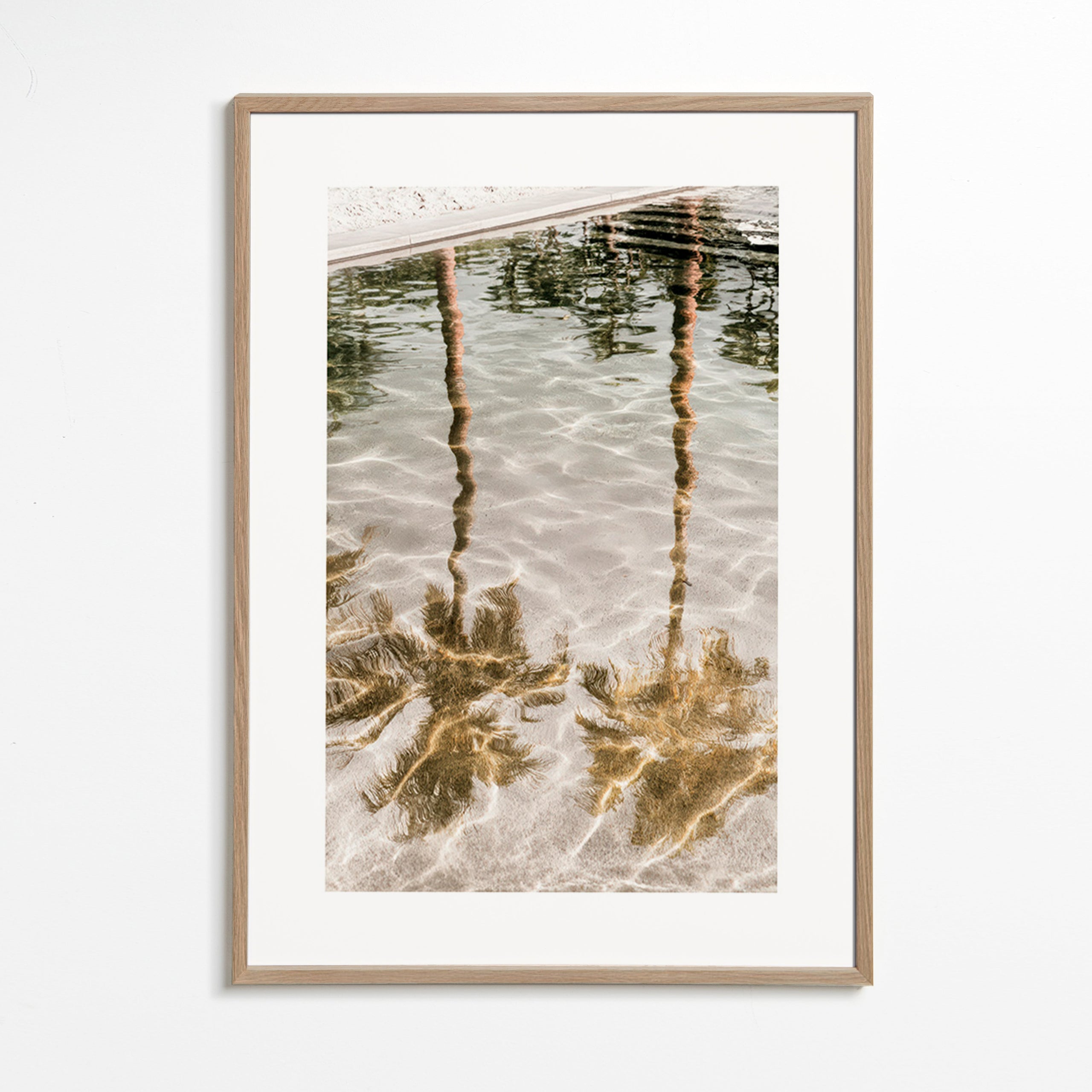 Landscape art: palm reflections in water