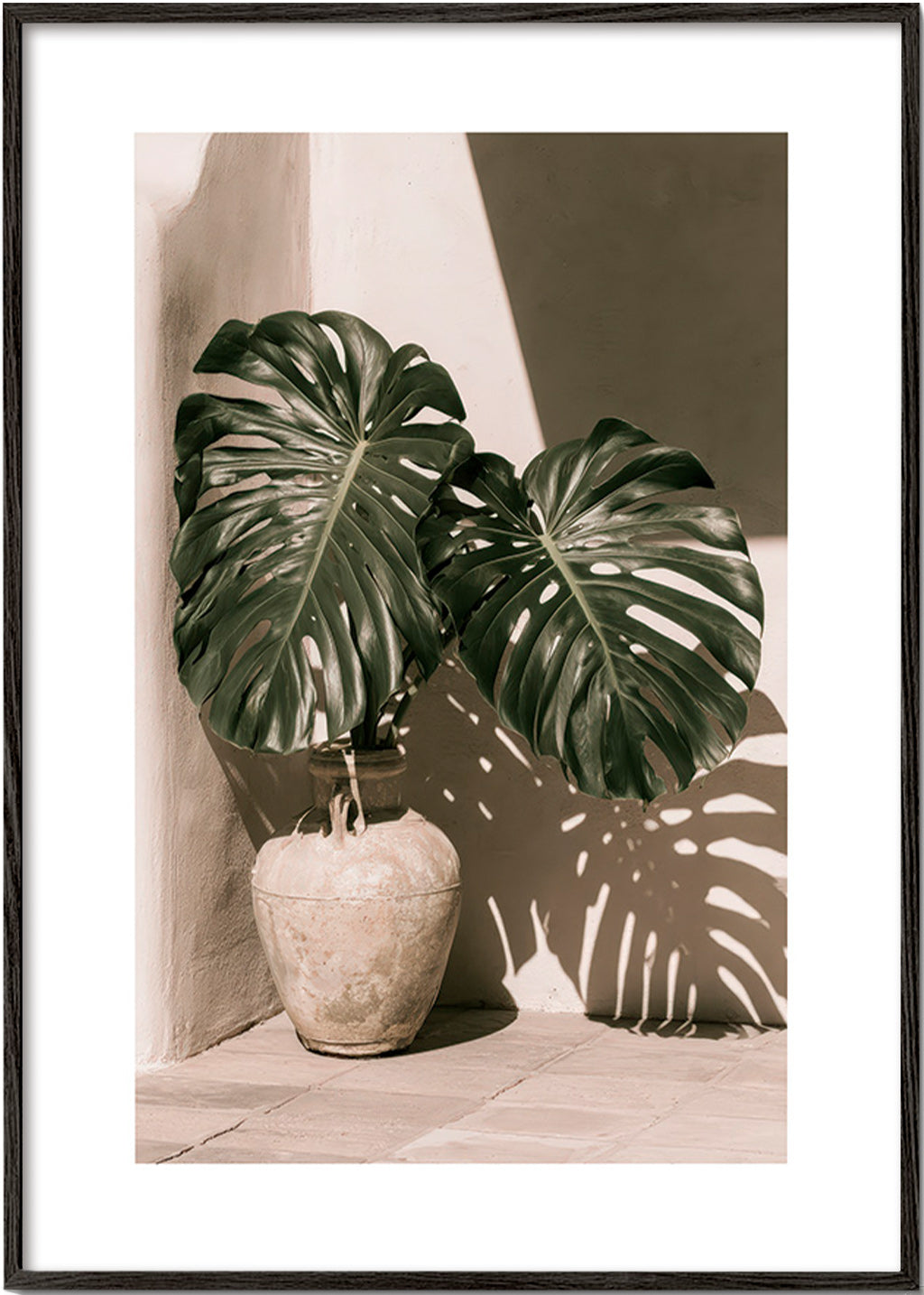 Botanical print Monstera pot study
