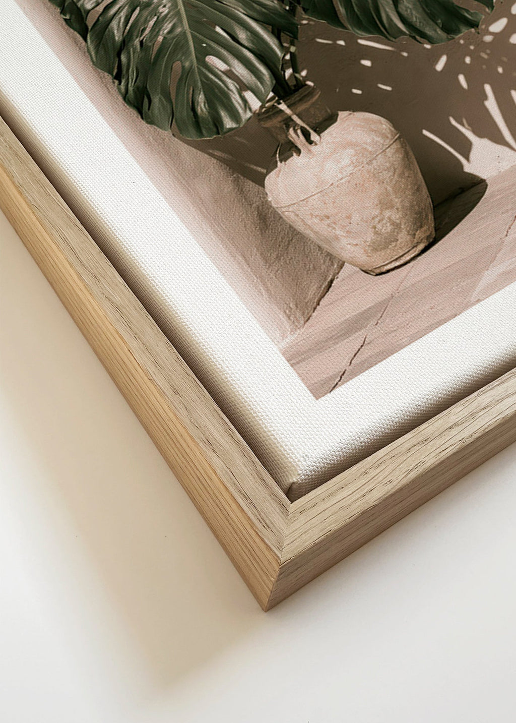 Botanical print Monstera pot study