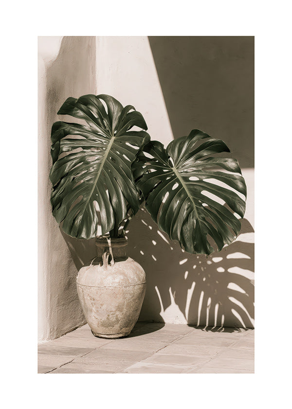 Botanical print Monstera pot study