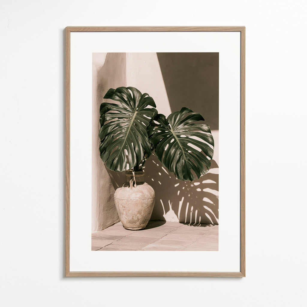 Botanical print Monstera pot study