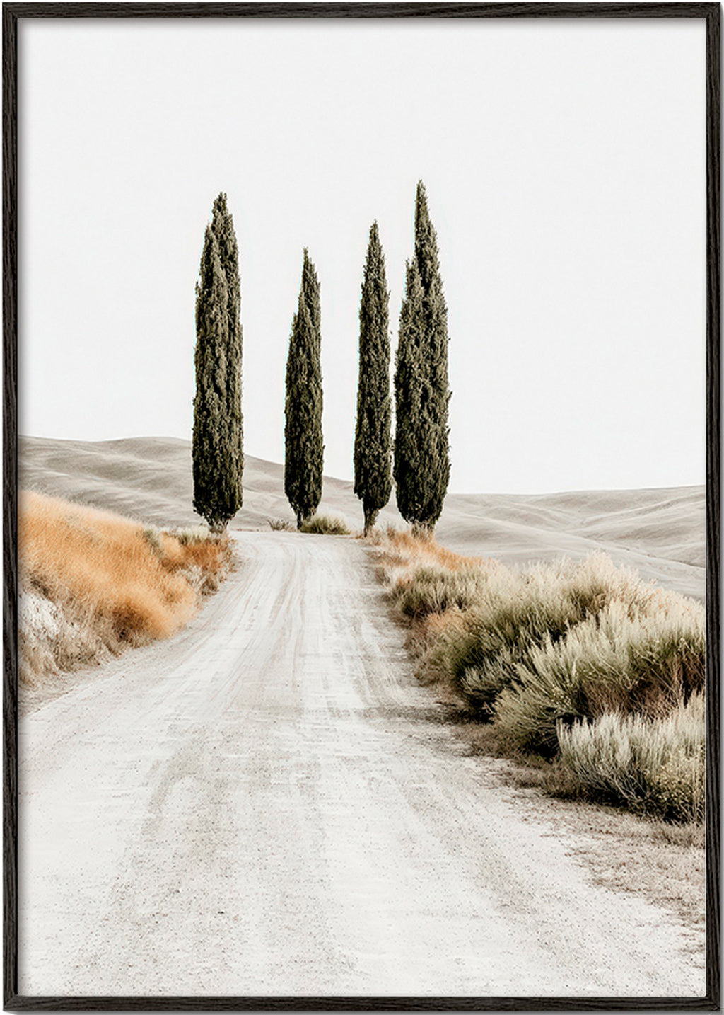 Landscape art: cypress lane on a dusty road
