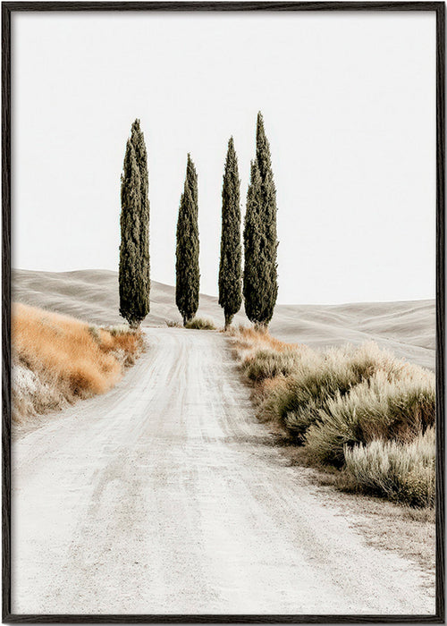 Landscape art: cypress lane on a dusty road