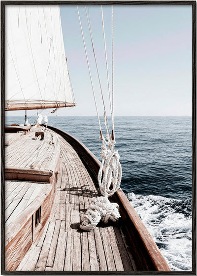 Sailing Morning