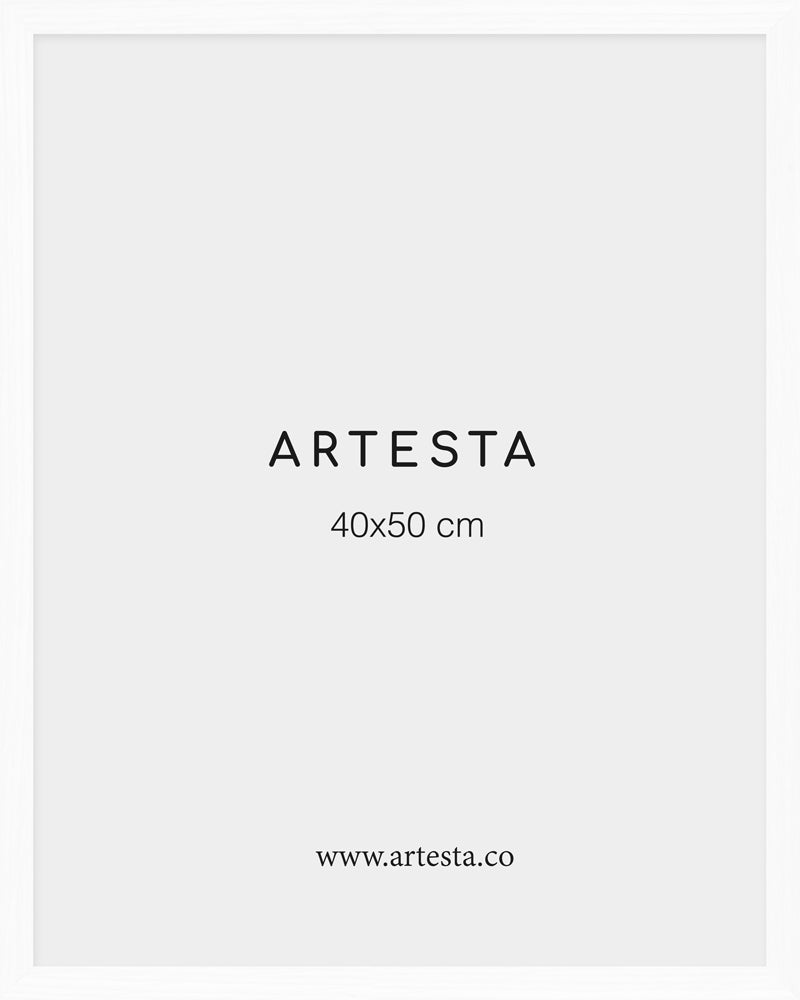 White frame 40x50cm