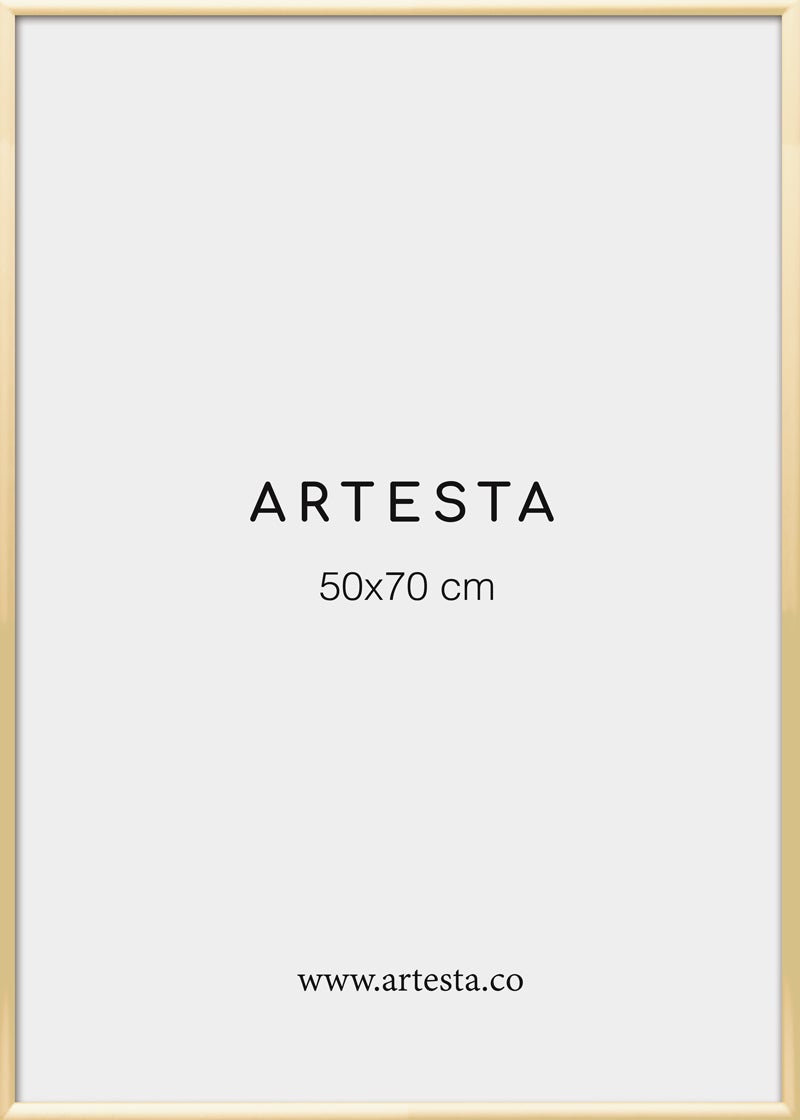 Gold frame 50x70cm