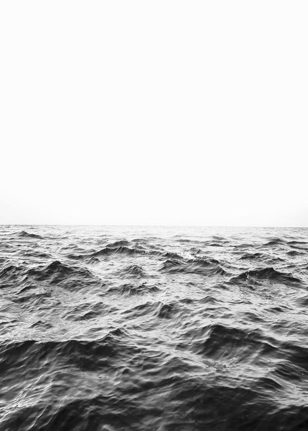 Sea BW