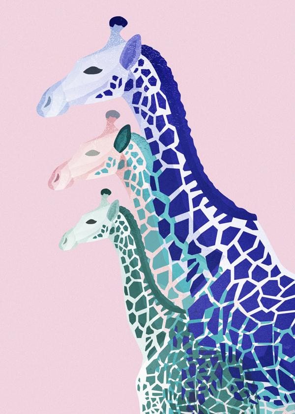 Giraffes in pink