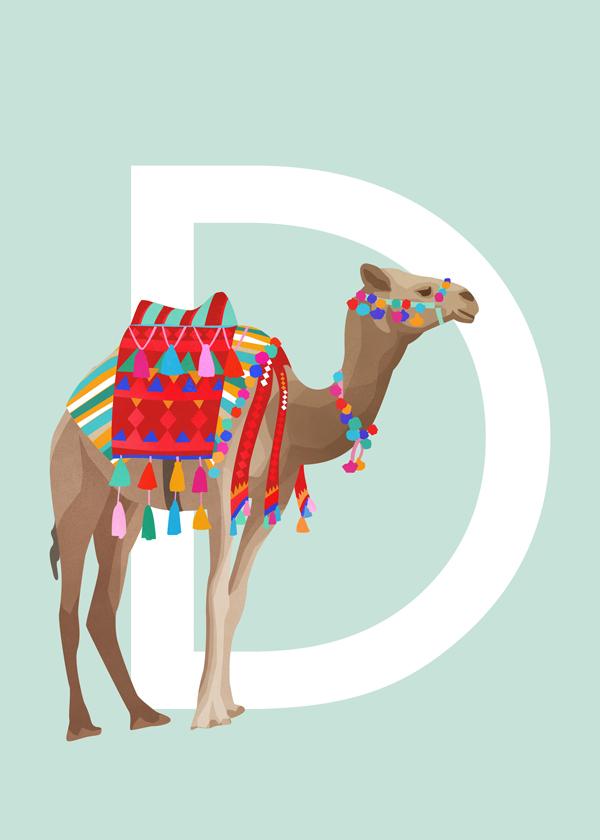 Dromedary