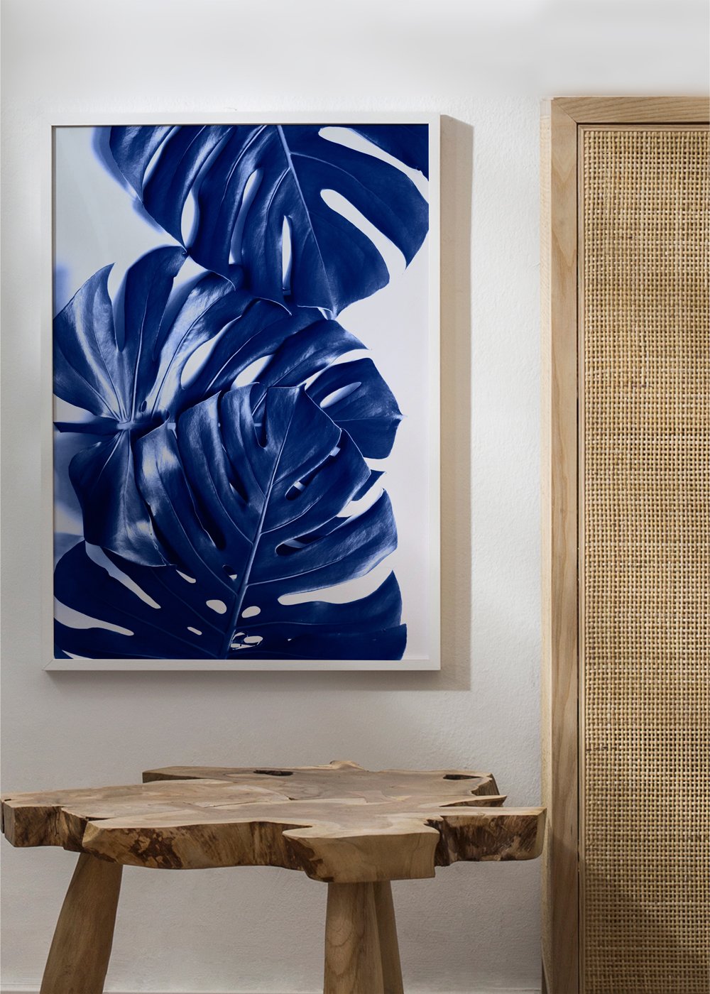 Monstera Blue