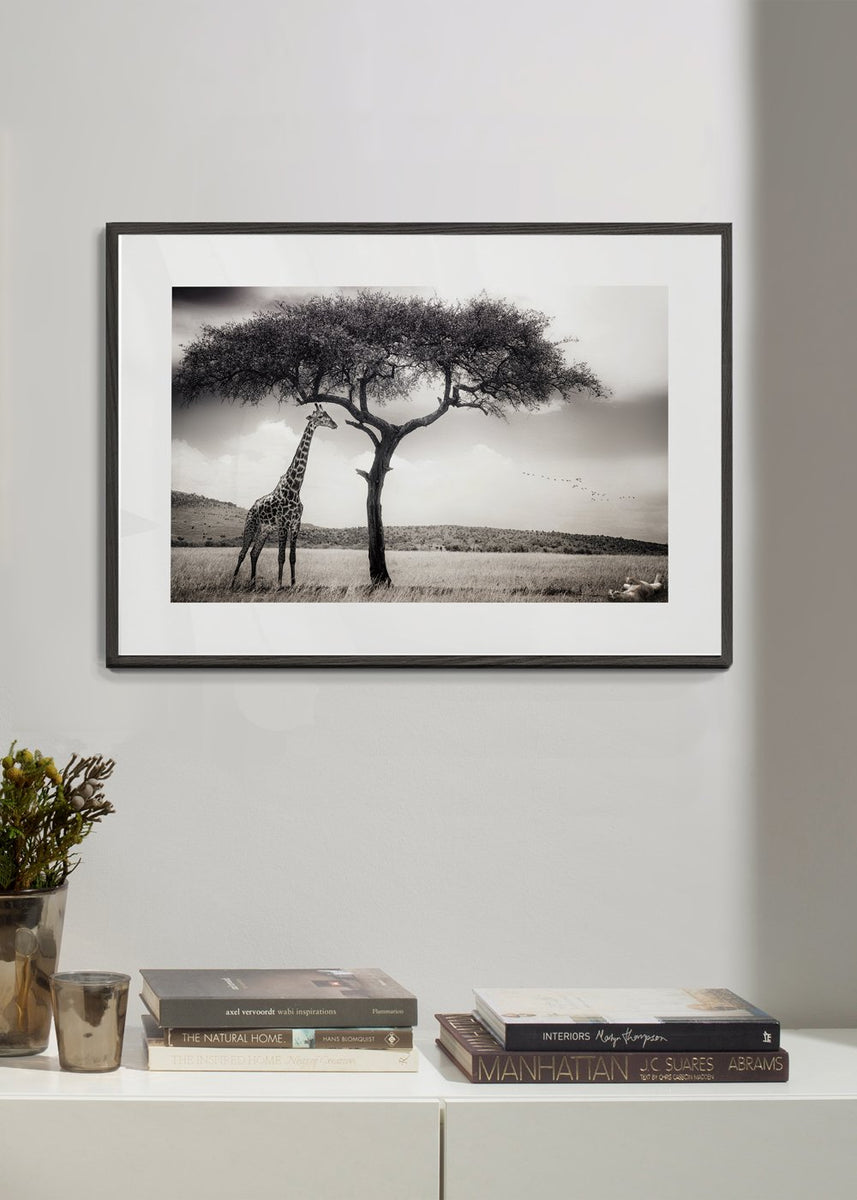 under the African sun - Piet Flour poster | Wall art, framed prints and ...