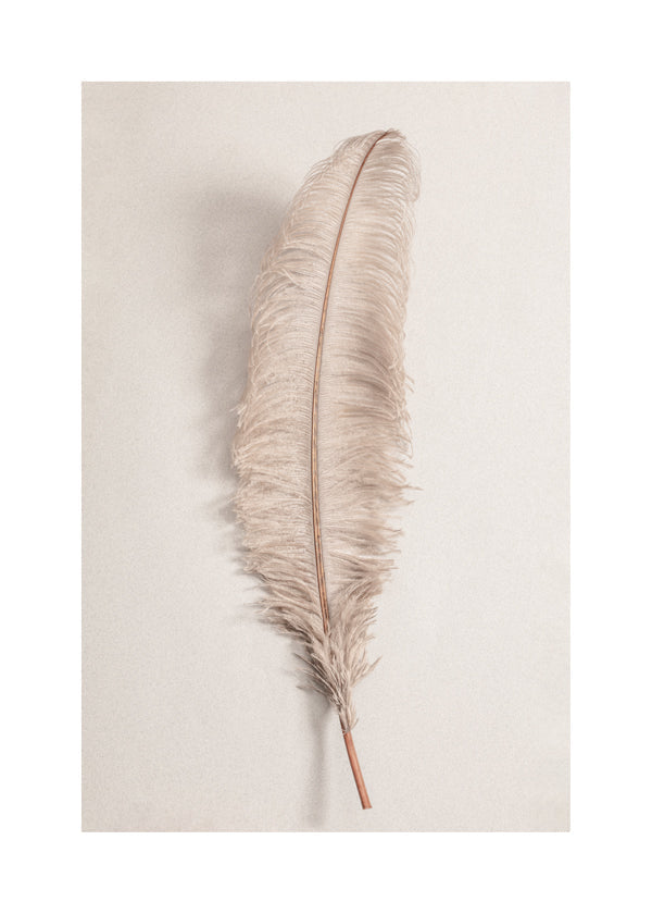 Feather II